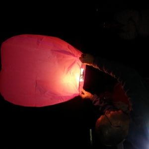 Meet your Posher, Fran